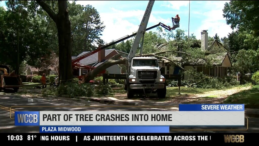 Part Of Tree Crashes Into Home