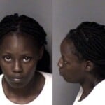 Nashay Mackins Cocaine Possess W Intent Manufactureselldeliver Possess Drug Parapphernalia