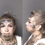 Pamela Mayer Failure To Appear Felony Sch Ii Possess