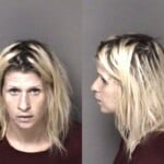 Rachel Whetstine Habeas Corpus