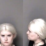 Emily Lee Driving While Impaired Reckless Driving Wanton Disregard