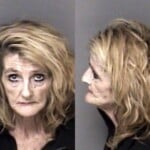 Lisa Reinhardt Failure To Appear Misdemeanor Larceny Misdemeanor