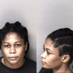 Forzeska Charles Misd Crime Of Dom Violence Immigration