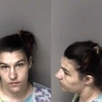Brittany Willard Sch Ii Possess Sch Ii Manufacture Sch Ii Possess W I Manufselldel Maintain Vehicledwellingplace Cont Subst Cocaine Possess