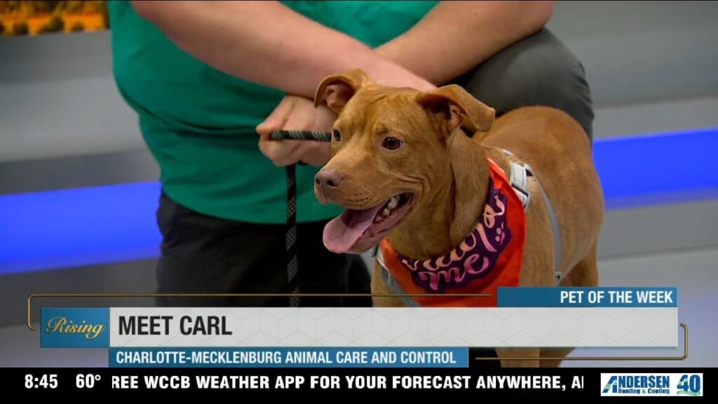 Carl (crawler) Pet Of The Week