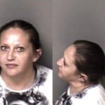 Emily Jenkins Possess Methamphetamine Possess Drug Paraphernalia