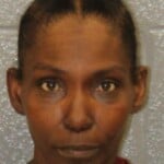 Shemetria Williams Felony Possession Of Cocaine