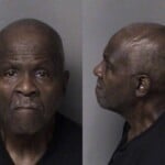 Stephen Adams Misd Crime Of Dom Violence