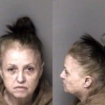 Leigh Mccorkle Misd Crime Of Dom Violence