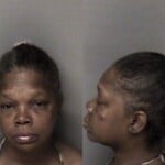 Evette Mccoy Police Report False