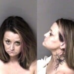 Virginia Mcginnis Trespass 2nd Degree