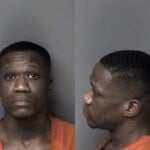 Bill Mcneill Habeas Corpus