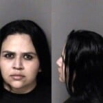 Jennifer Zeledonarauz Dwi Fail Maintain Lane Control Immigration
