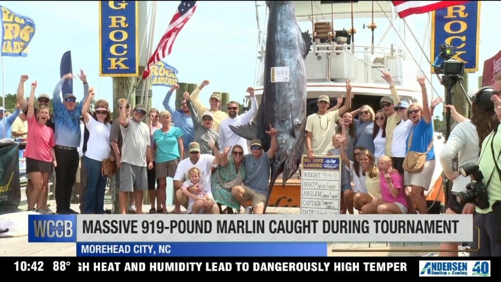 Massive 919 Pound Marlin Caught During Nc Tournament