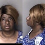 Surtwone Wingo Domestic Violence Protection Order