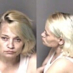 Eva Miller Larceny Possess Stolen Property Failure To Appear Felony Probation Violation