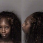 Brianna Betha Dwi Dwlr Not Impaired Rev