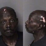 Alfred Johnson Probation Violation