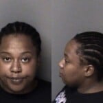 Deanna Anthony Assault Simple