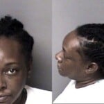 Donella Cook Probation Violation