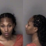 Krystal Felton Registeredtitled Driveallow Vehicle