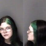 Lillyan Mulwee Assault Simple Misd Crime Of Dom Violence Sch Vi Possess