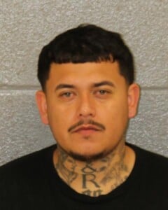 Emanuel Capoteangelina Resisting Public Officer
