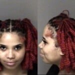 Brekala Mccoy Disorderly Conduct Public Bldg