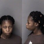 Miguerla Bernard Larceny Immigration