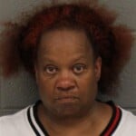 Phyllis Little Habitual Larceny Felony Larceny Simple Possess Sch Vi Cs