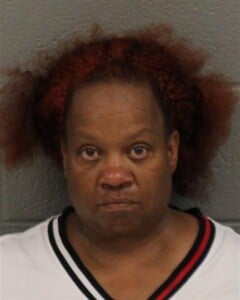Phyllis Little Habitual Larceny Felony Larceny Simple Possess Sch Vi Cs