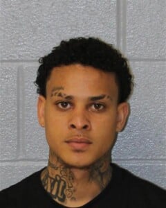 Jesus Alvaradocastro Fleeelude Arrest Wmv Resisting Public Officer