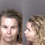 Rebekah Gibson Probation Violation Failure To Appear Felony