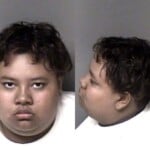 Leslie Ramirez Larceny Misdemeanor
