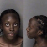Janiya Bell Breakenter Trespass 1st Degree Injury Real Property