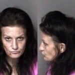 Melissa Gulley Interfere Elect Monitor Dev Failure To Appear Felony