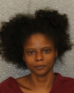 Latisha Johnson Resist Public Officer Communicate Threats Disorderly Conduct
