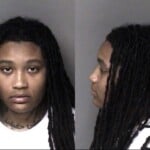 Imani Pegues Larceny Larceny Motor Vehicle