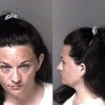 Ashley Day Obtain Property False Pretense
