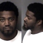 Michael Johnson Possess Firearm By Felon Larceny