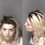 Natasha Davis Possess Methamphetamine Possess Drug Paraphernalia