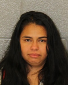 Gynna Galo Benites Crime Of Domestic Violence Simple Assault