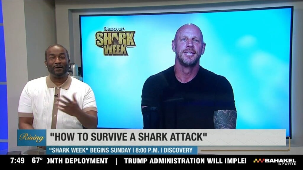 "how To Survive A Shark Attack"