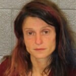 Joanne Vasilca Break Or Enter A Motor Vehicleresist Public Officer Larceny