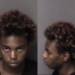 Sincere Phillips Larceny Misdemeanor Conspiracy Contributing Delinquency Of Juvenile