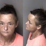 Cristy Peeler Felony Hitrun Serious Injurydeath Dwlr Impaired Rev Insurance No Liability Registration Plate Driveallow While Not Display Failure To Appear Misdemeanor