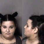 Pansy Billings Cocaine Possess Insurance No Liability Registration Plate Driveallow While Not Display Aggressive Driving Seat Belt Driver