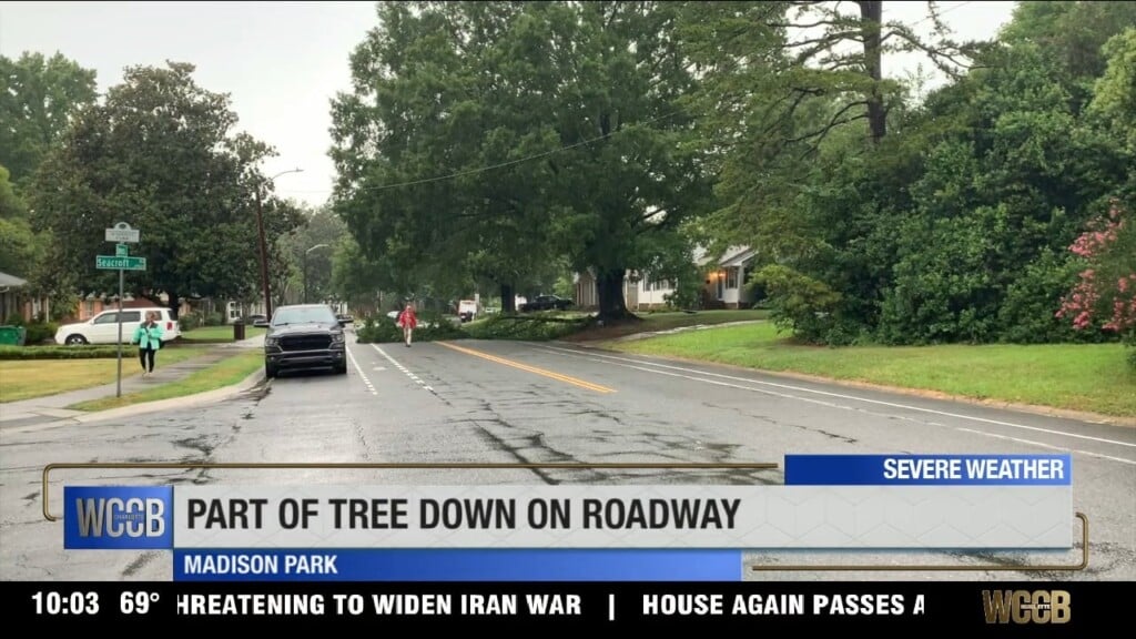 Part Of Tree Down On Roadway