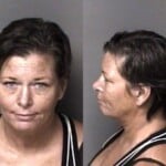 Alisha Scaff Possess Stolen Property