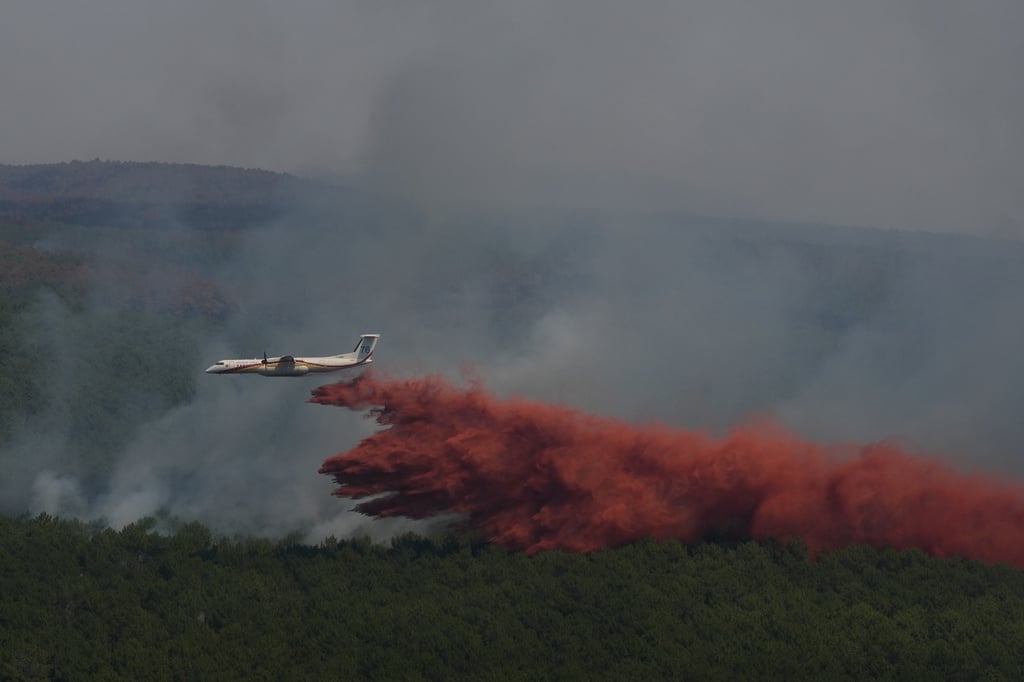 Aptopix France Wildfires